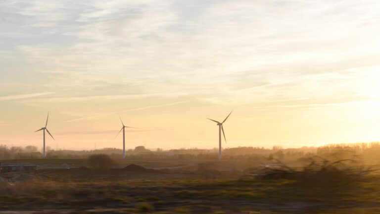 Vast of variabel energiecontract in 2026: zo kies je slim voor je energierekening