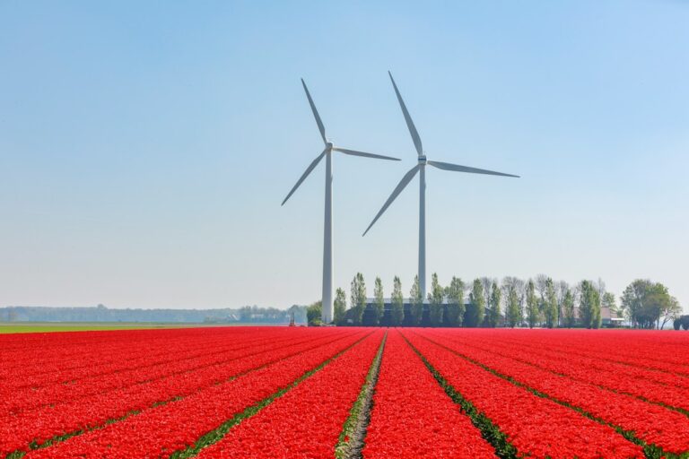 Duurzaam wonen zonder zonnepanelen: zo verlaag je je woonlasten met slimme maatregelen